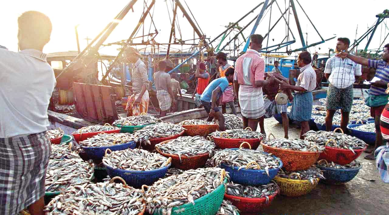 Chawkbazar Food Tour in Bangladesh with a knowledgeable local guide