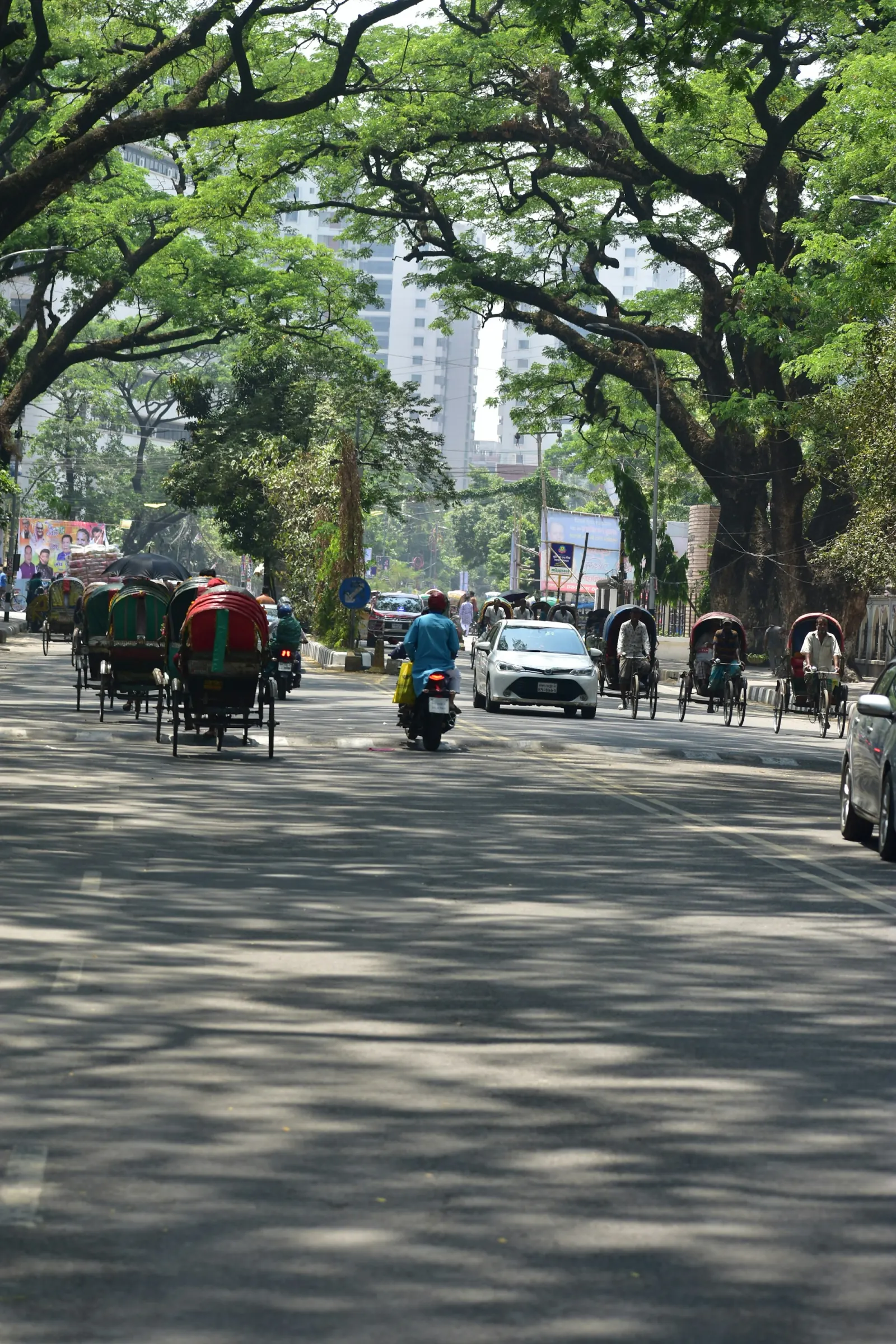 Colorful rickshaws and traffic on a tree-lined Dhaka street during the Dhaka Food Tours